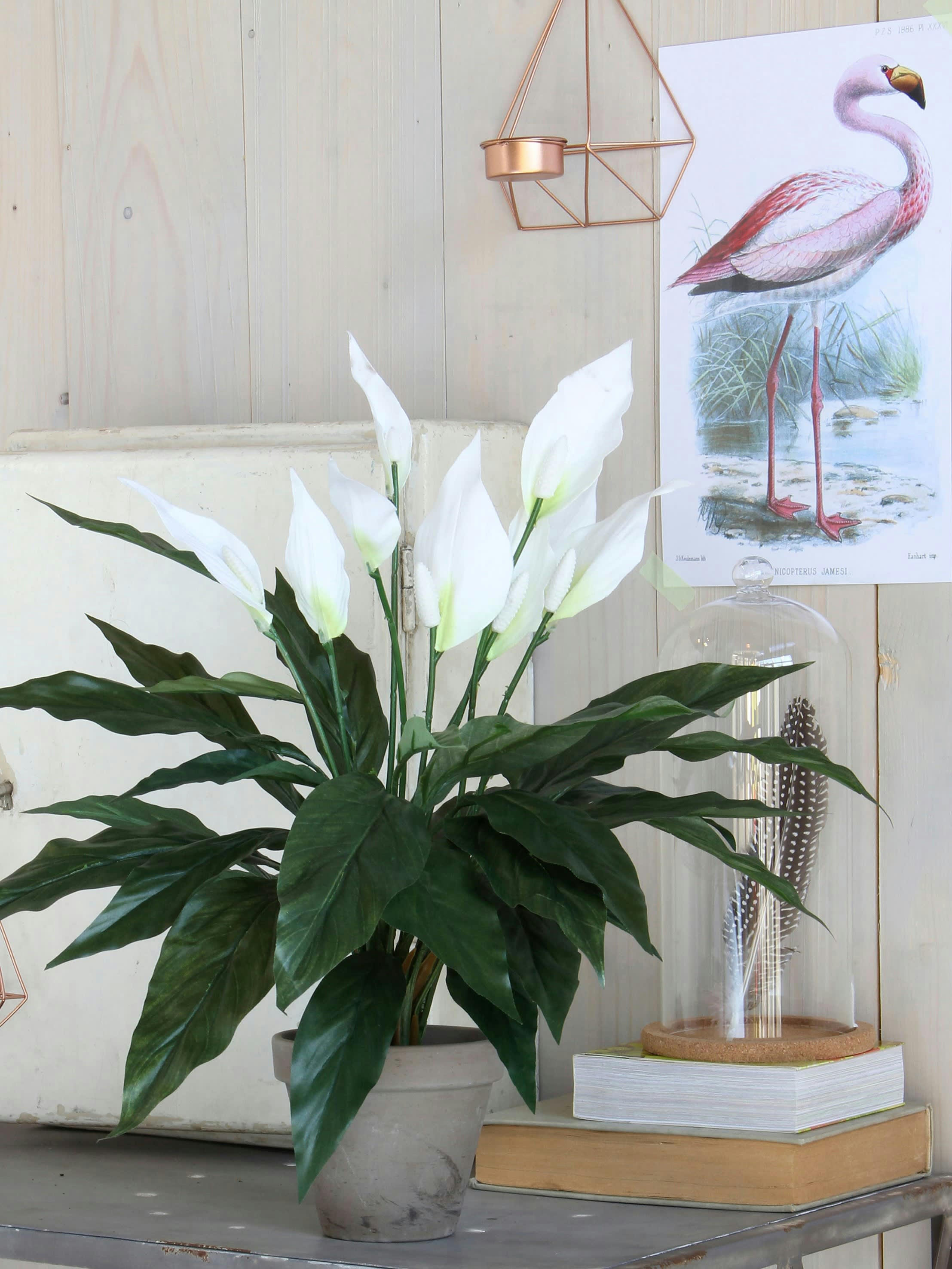 - Spathiphyllum artificielle blanc en pot H50