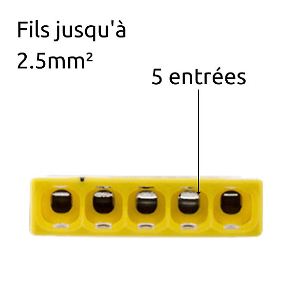 Mini borne S2273 avec 5 entrées et conducteurs 2,5mm² - Wago