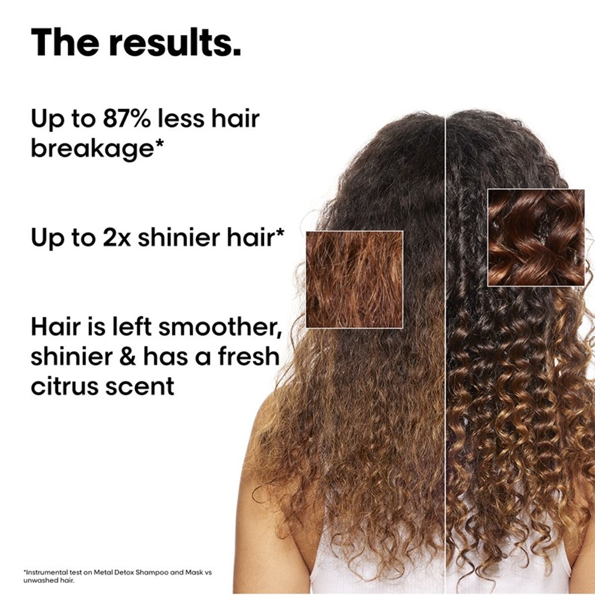 L'Oreal Professionnel Metal Detox Shampoo Hair Mask