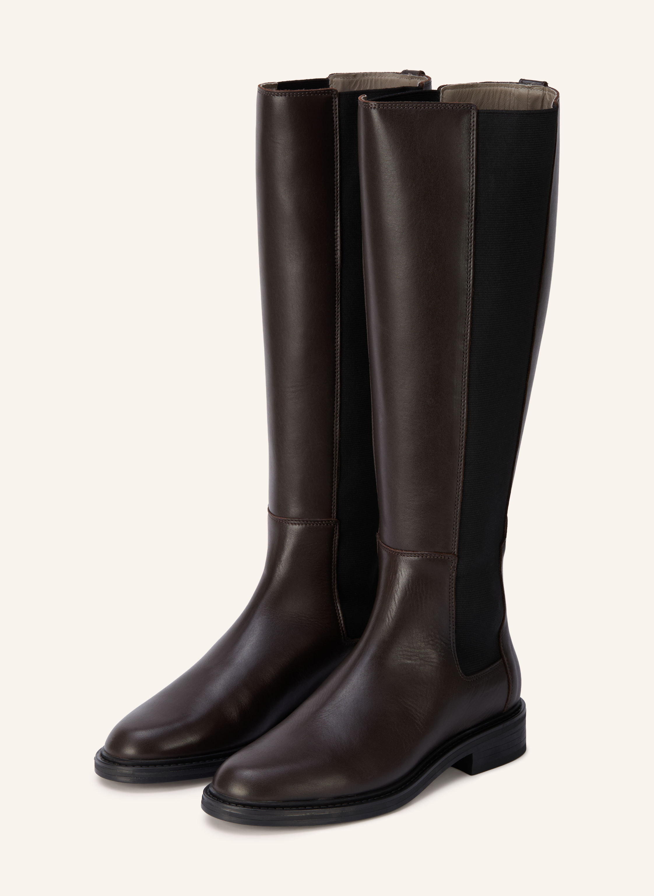 ALLSAINTS Stiefel BALES