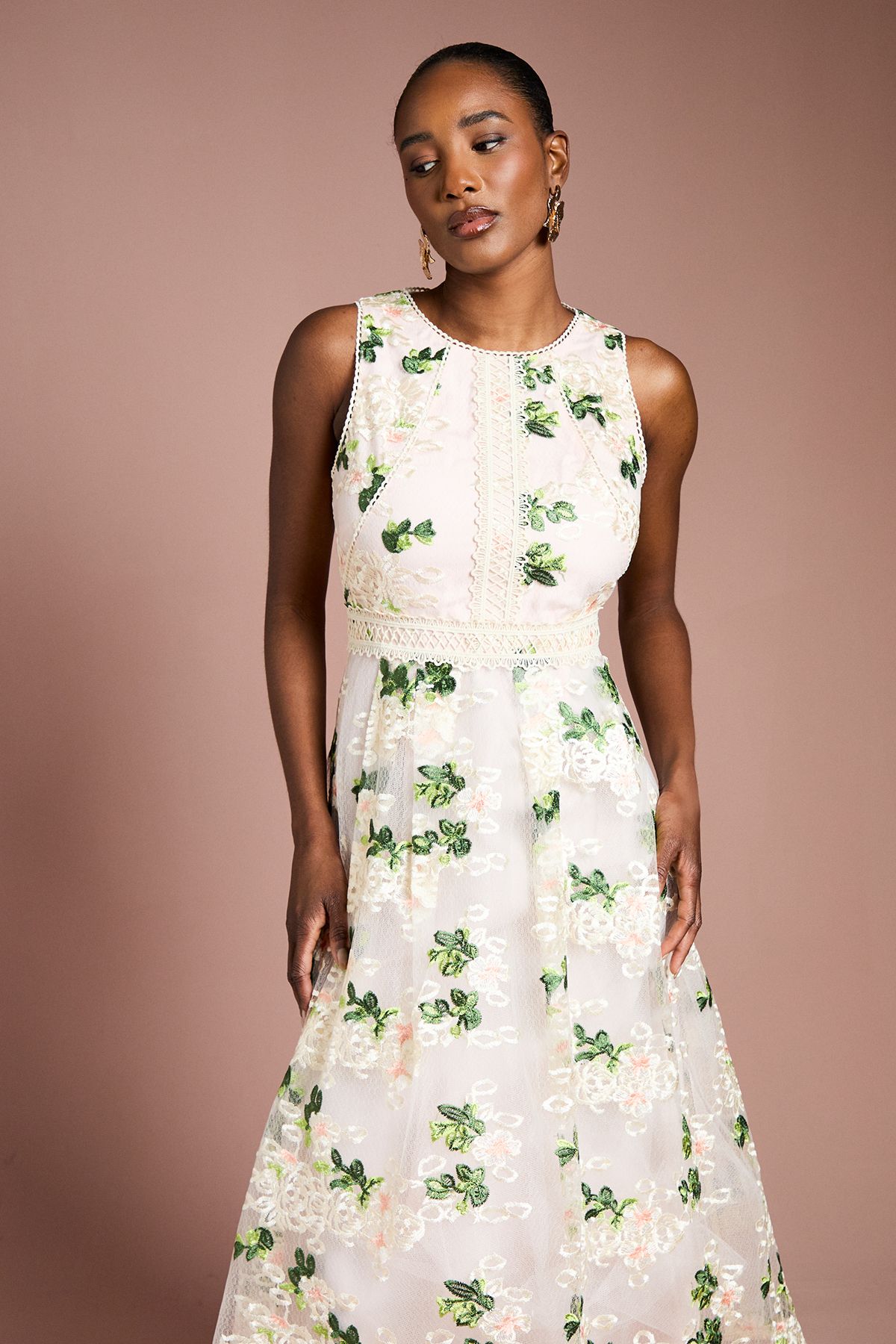 Coast Embroidered Mesh Lace Trim Full Skirted Midi Dress