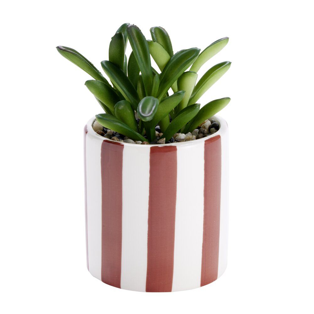 Plante artificielle succulente pot bayadère rayures colorées Ø8xH15,5cm (2 modèles)