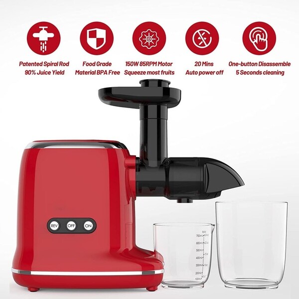 Slow Masticating Juicer for Vegetable and Fruit