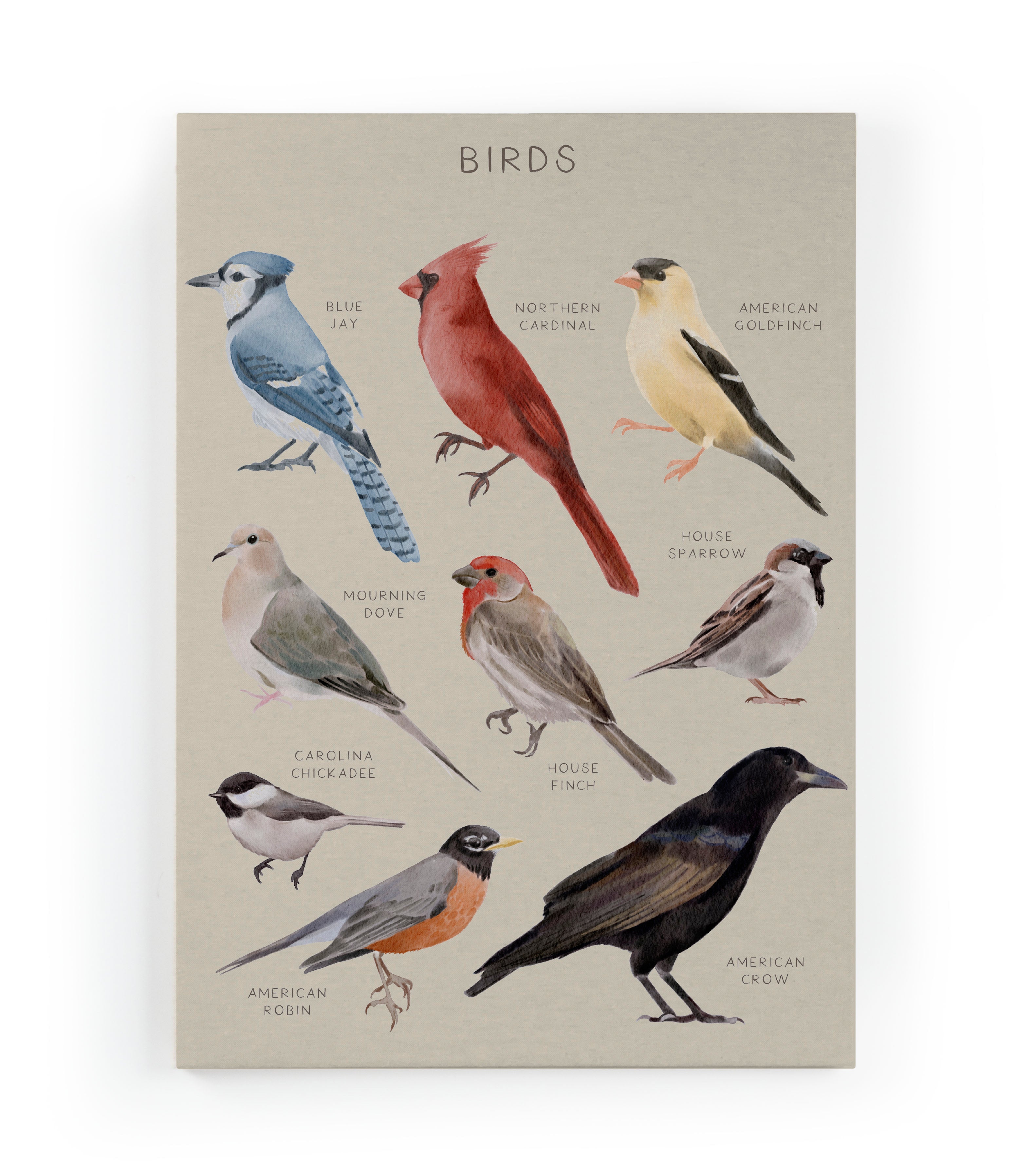 Canvas 60x40 Afdruk Vogels