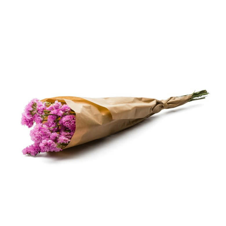 BFS - Botte Statice Pink