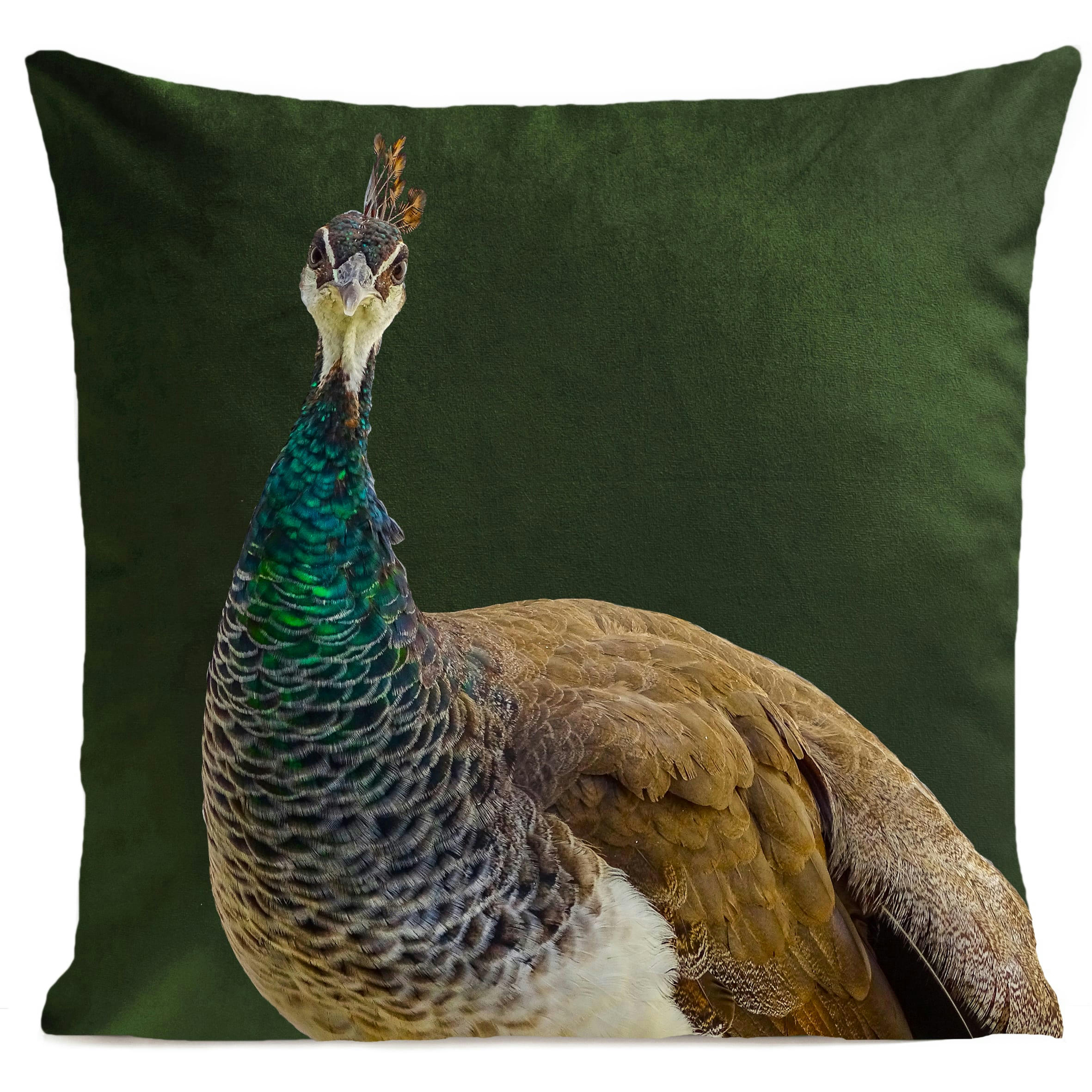 - Coussin déco automne velours vert 40x40cm