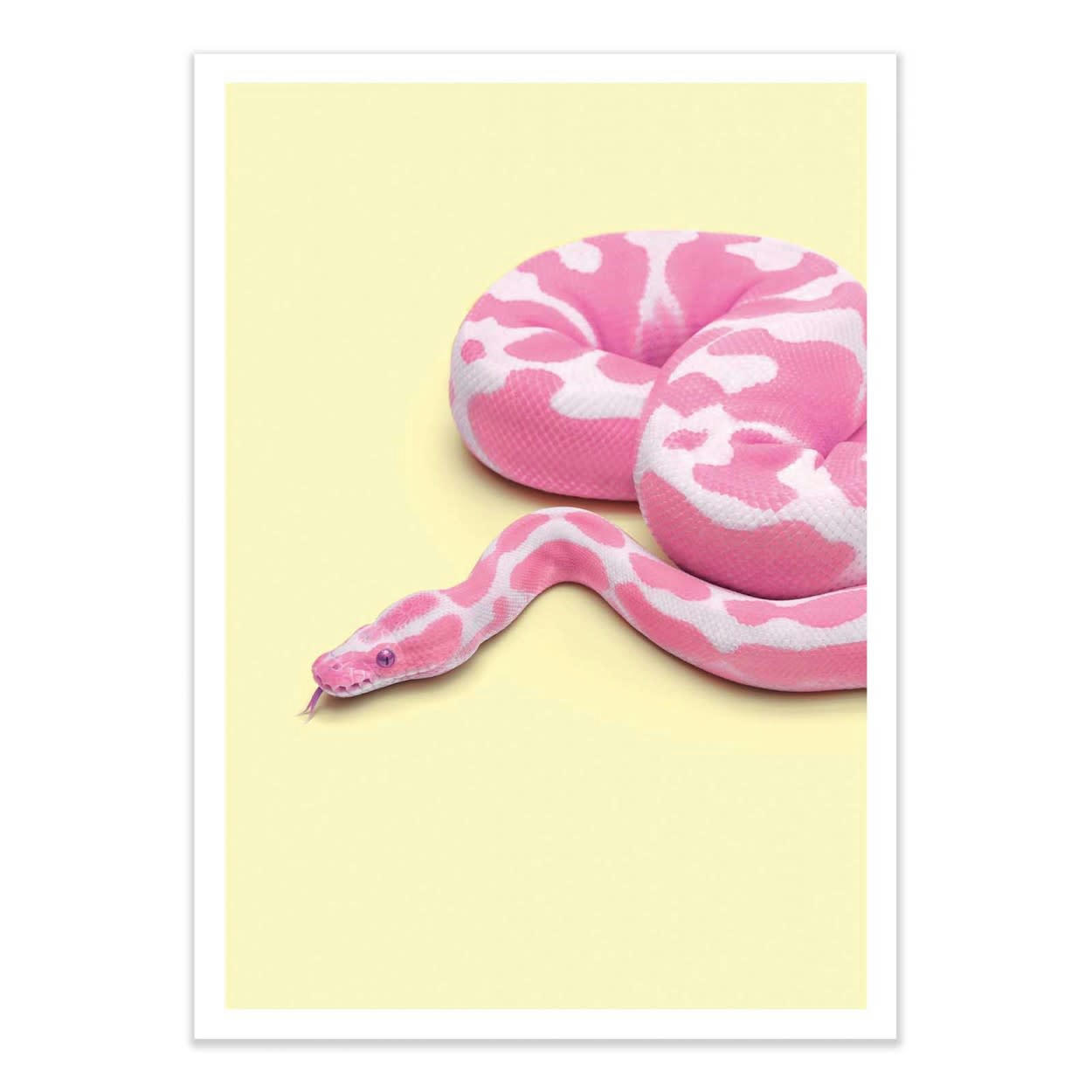 PAUL FUENTES - YELLOW SNAKE - Affiche d'art avec Cadre bois noir - 50 x 70 cm