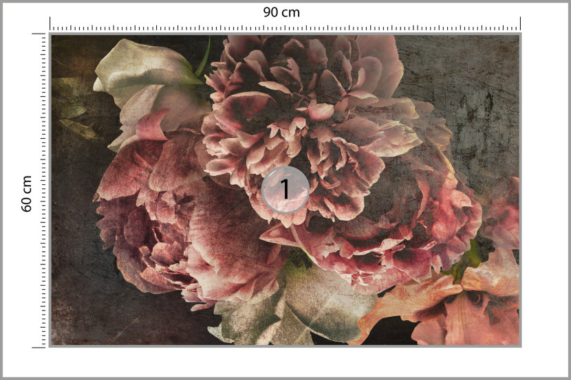 Fototapeta Abstrakcyjne PIWONIE Róże Kwiaty 90x60cm
