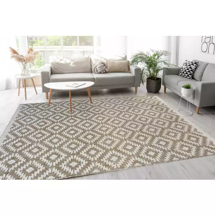 Genesis Natural Indoor Outdoor Rug - 160X230