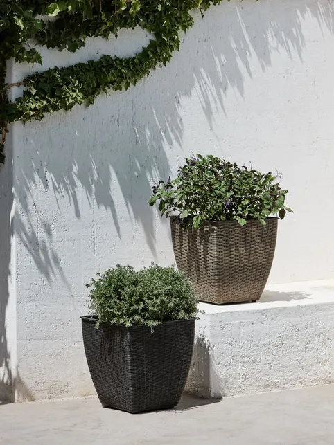 Plantekurv ISLOM 38x38x39 assorteret