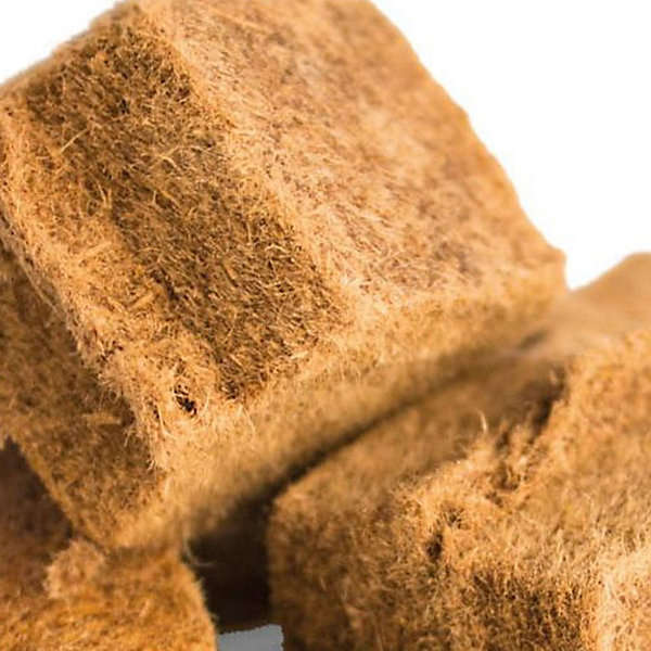 Cubes allume feu Napoleon - 100 pièces