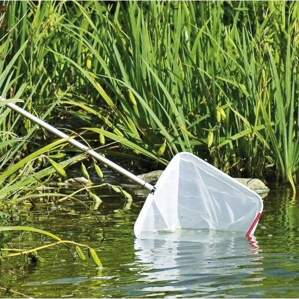 Teichkescher, Kunststoff/Aluminium35 cm, teleskopierbar: 140 - 180 cm