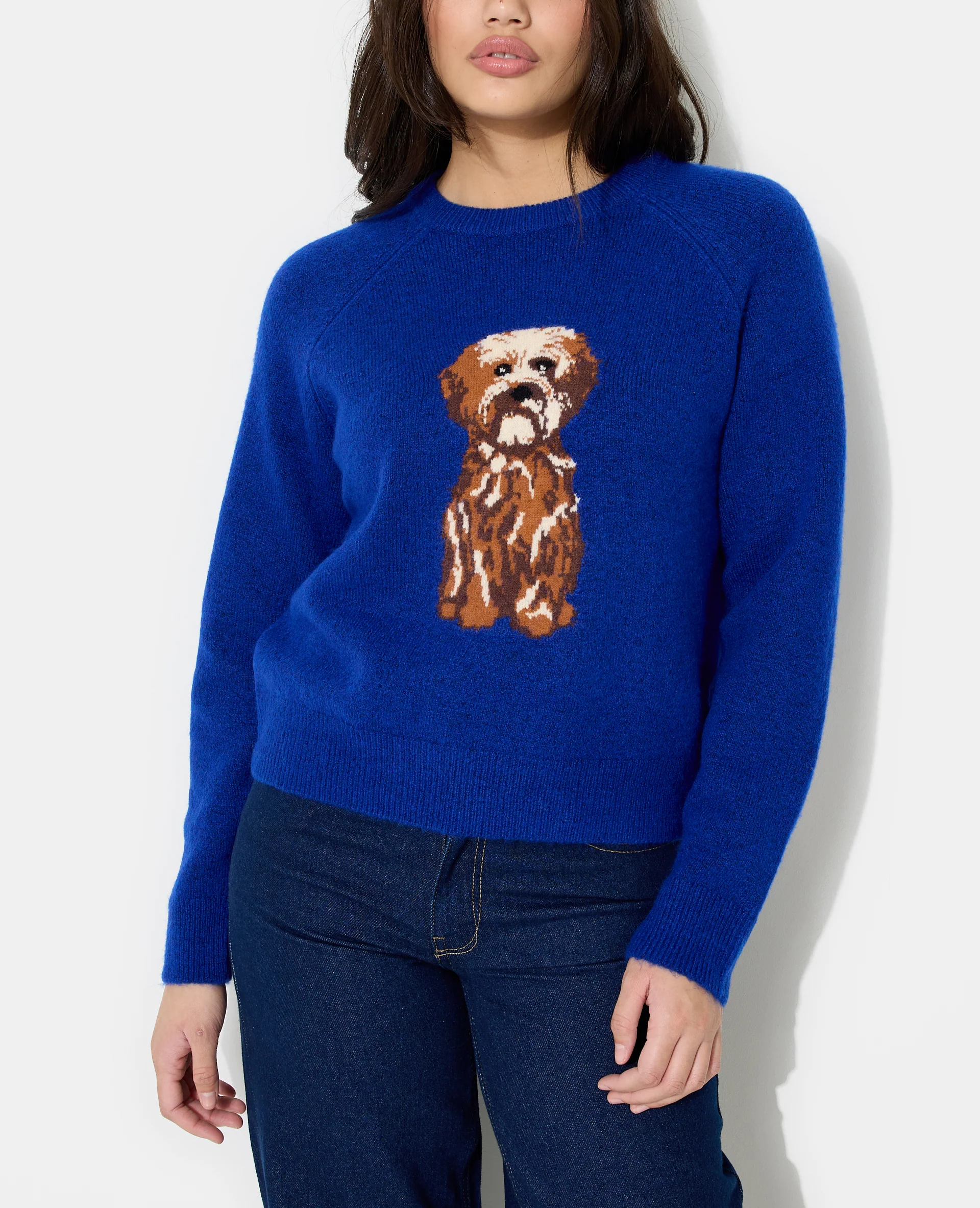 Pull en maille avec chien