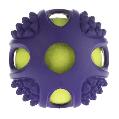 2-in-1 Rubber Tennis Ball Dog Toy