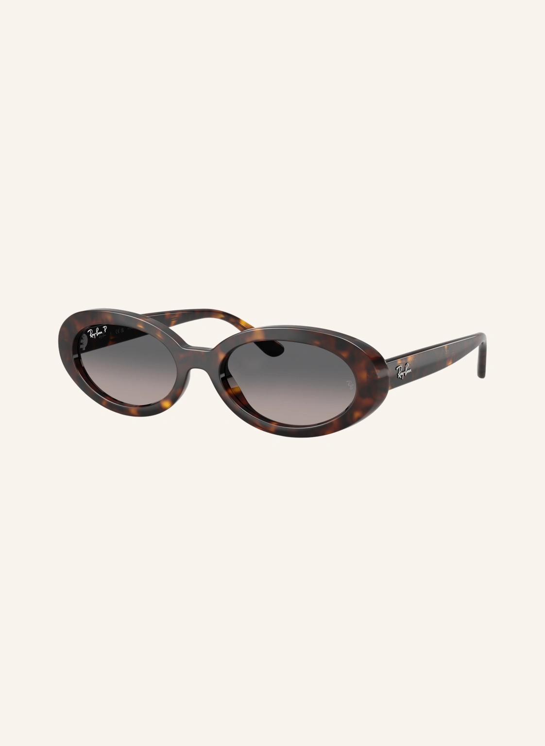 Ray-Ban Sonnenbrille RB2223