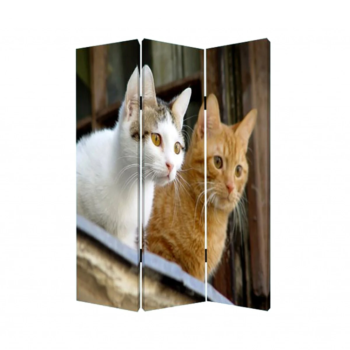 1 X 48 X 72 Multi Color Wood Canvas Curious Cat Screen