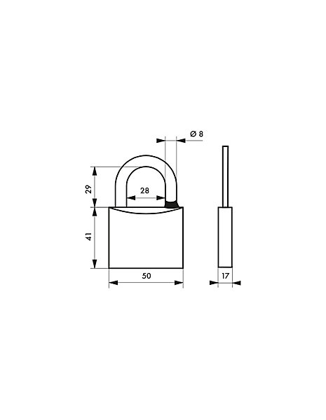 Cadenas à clé Type 1, laiton, extérieur, anse inox, 50mm, 2 clés - THIRARD