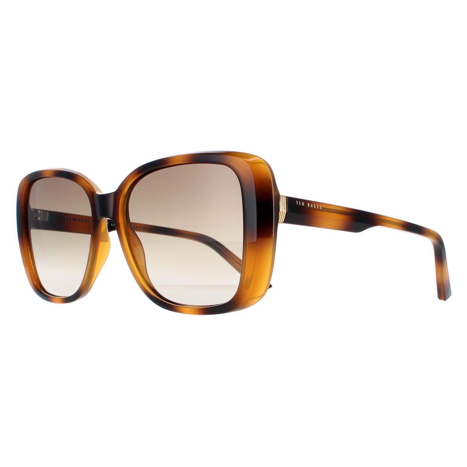 Ted Baker Square Havana Brown Gradient TB1640 Margo