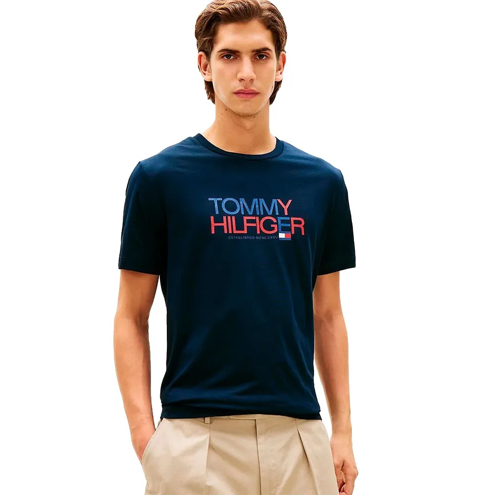 Tommy Hilfiger Brand Love Big Text short sleeve T-shirt