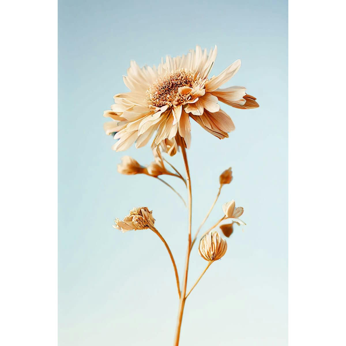 FLEUR - Tableau sur toile fleur 45x65 cm