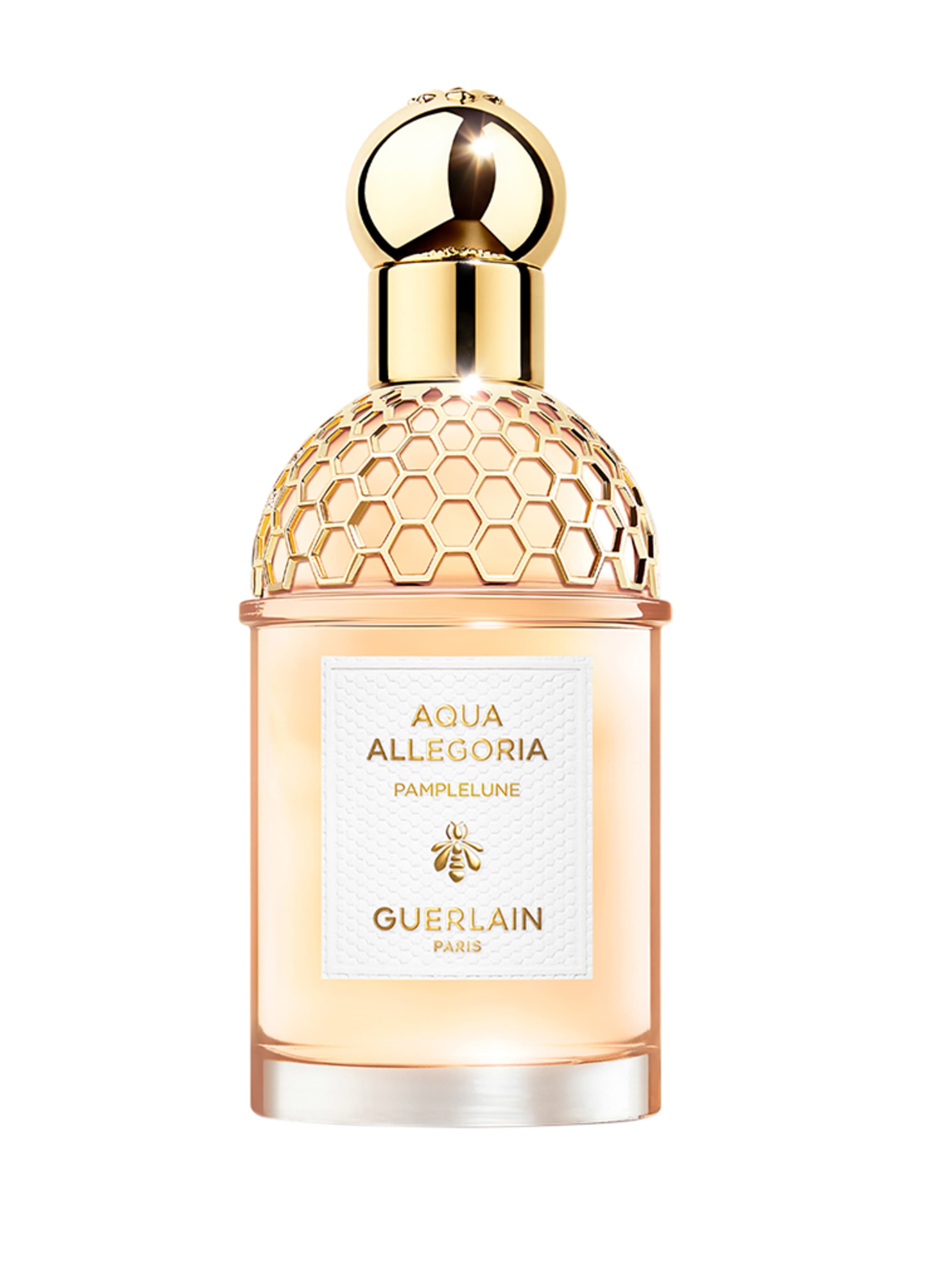 GUERLAIN AQUA ALLEGORIA PAMPELUNE