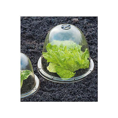 Cloches de forçage, Diamètre 25.5 cm