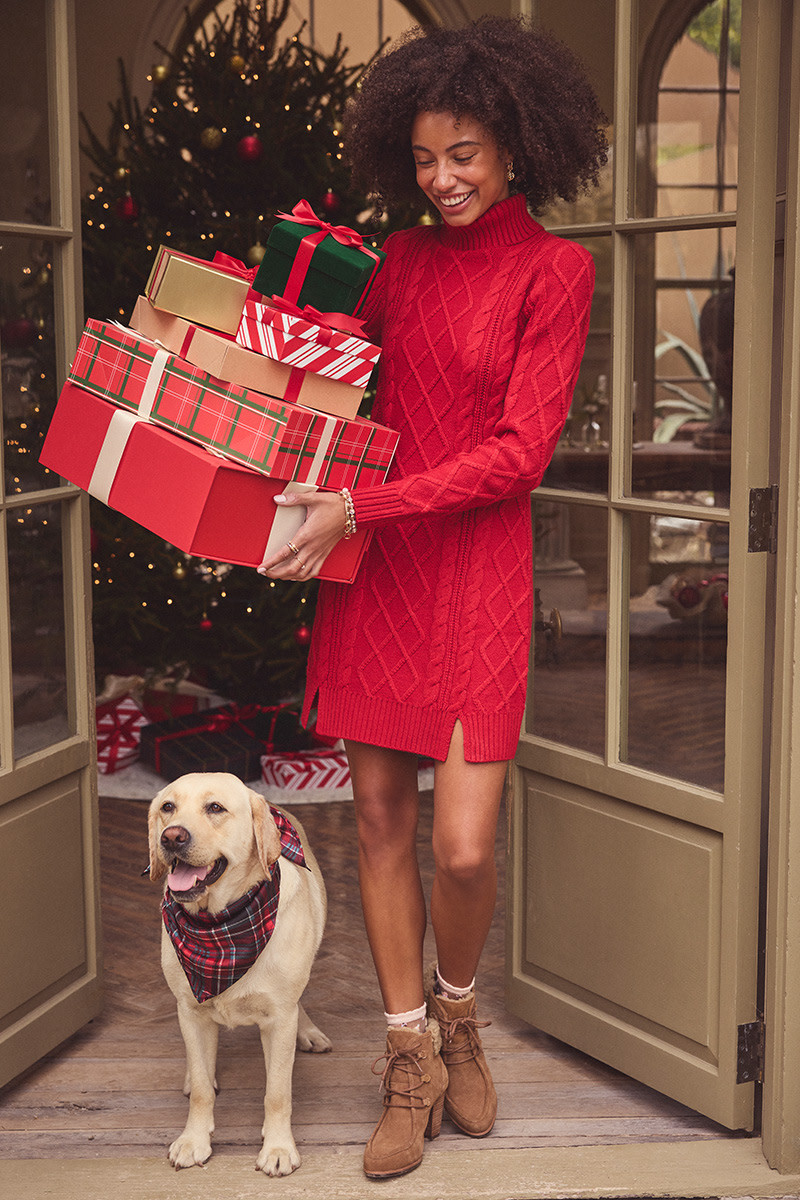 Gabrielle Turtle Neck Sweater Mini Dres