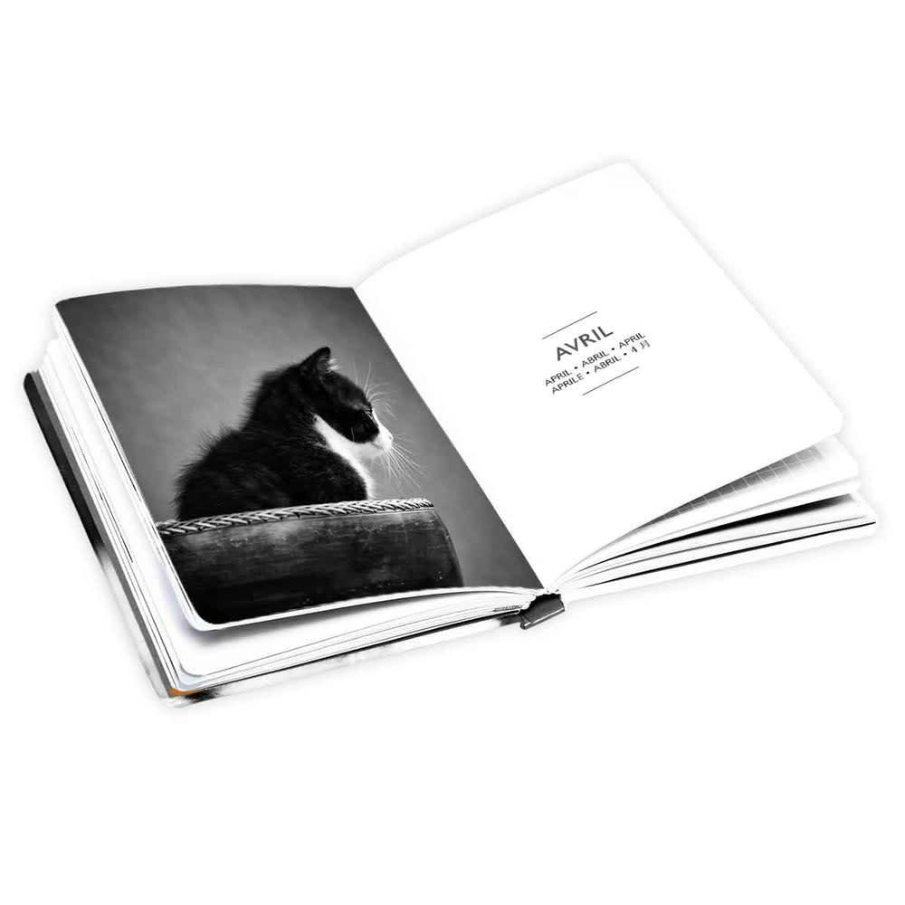 - Agenda de poche 2024 - Chats noir et blanc