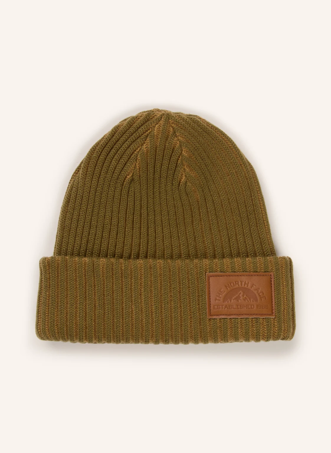 THE NORTH FACE Mütze SALTY LINED SE