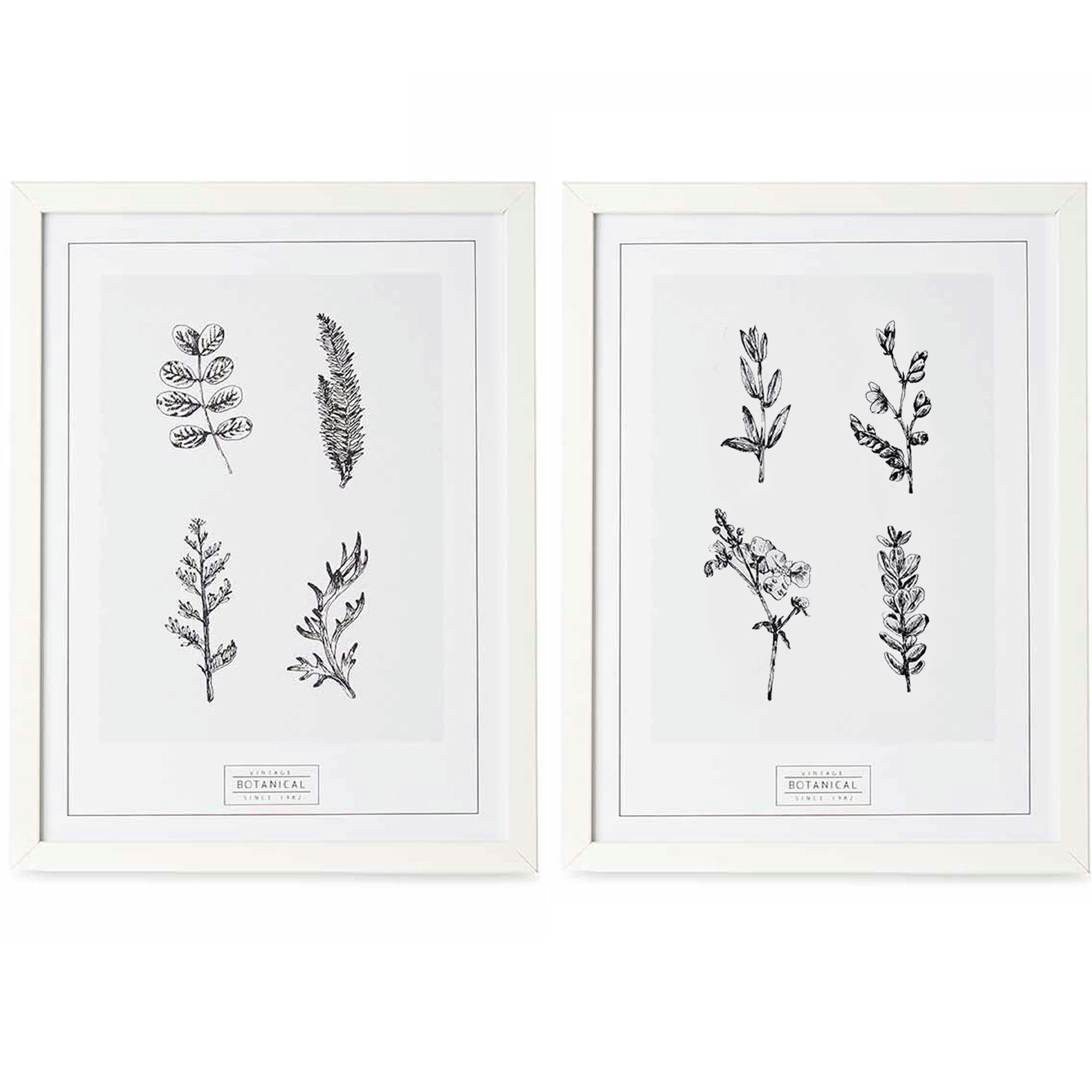 - Set de 2 tableaux décoratifs noir et blanc botanique