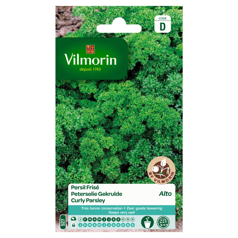 Semences de persil Frisé Alto VILMORIN