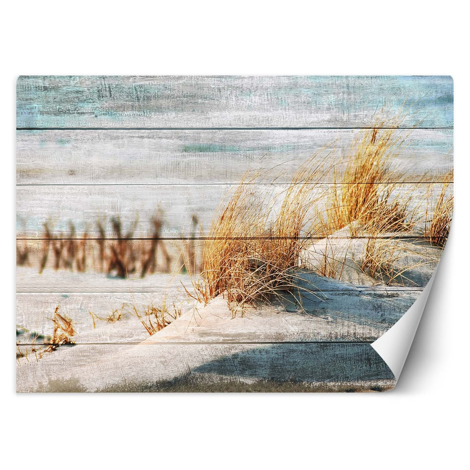 Feeby Fototapeta, Wydmy plaża na drewnie 150x105