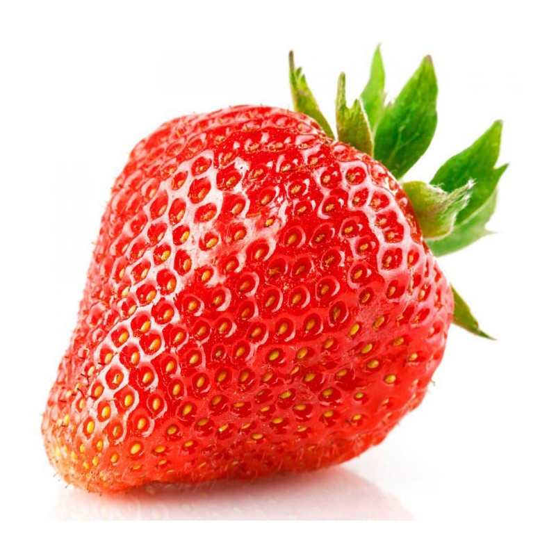 Fraisier Elsanta en pot