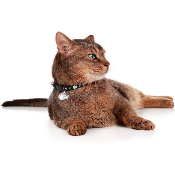 Halsband »Krokom«, für Katzen, Nylon/Kunststoff, schwarz