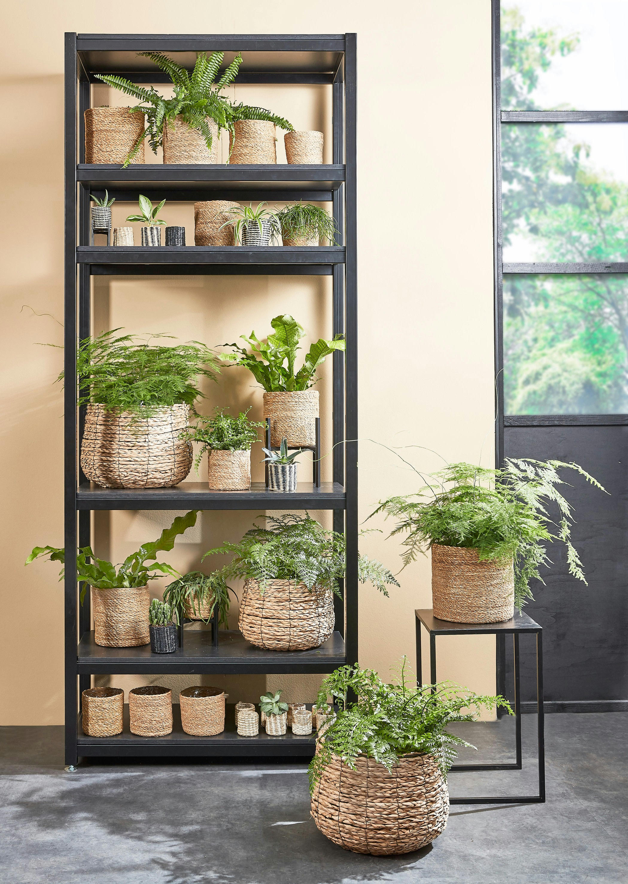 AVALON - Cache-pot en jonc de mer marron clair H31