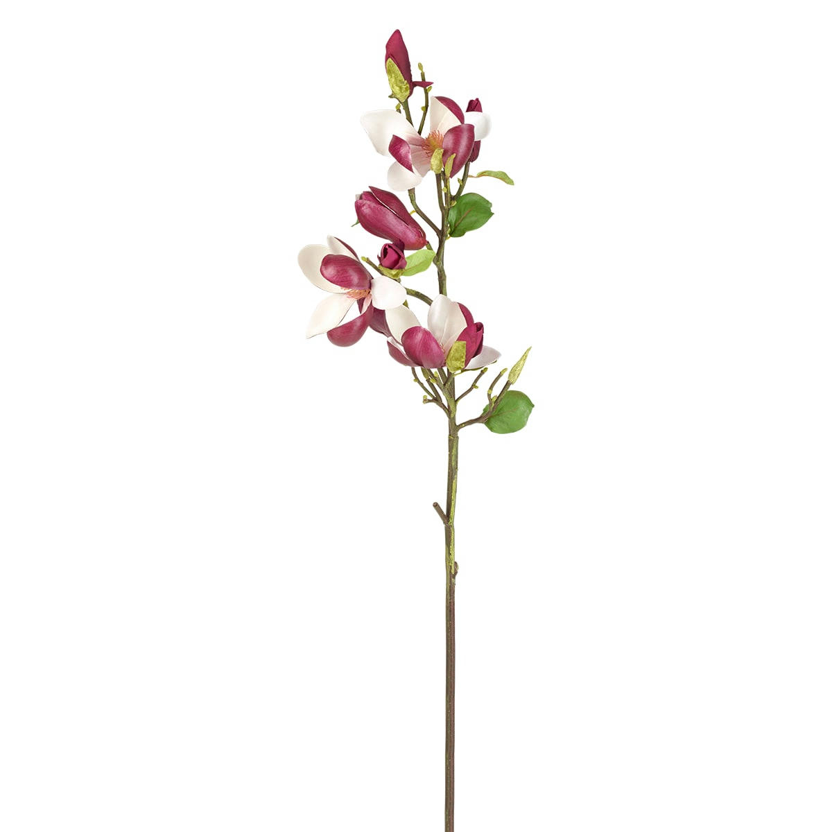 - Magnolia en bourgeons H80cm