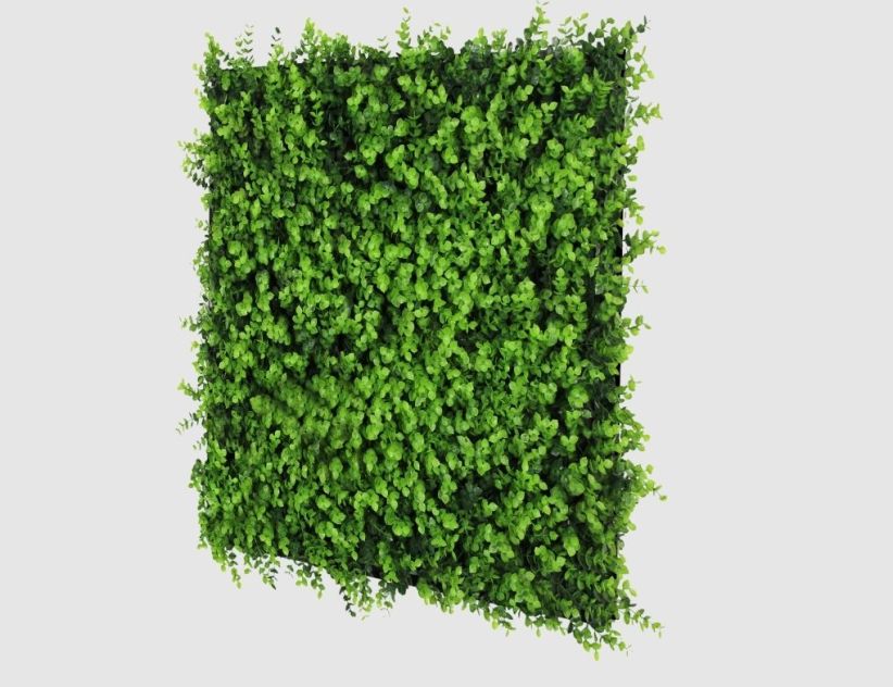 Wandpaneel Buxus 52x52 cm