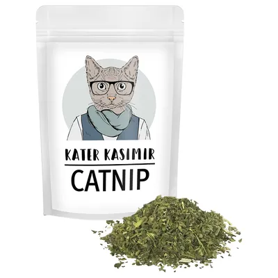 Kater Kasimir Catnip