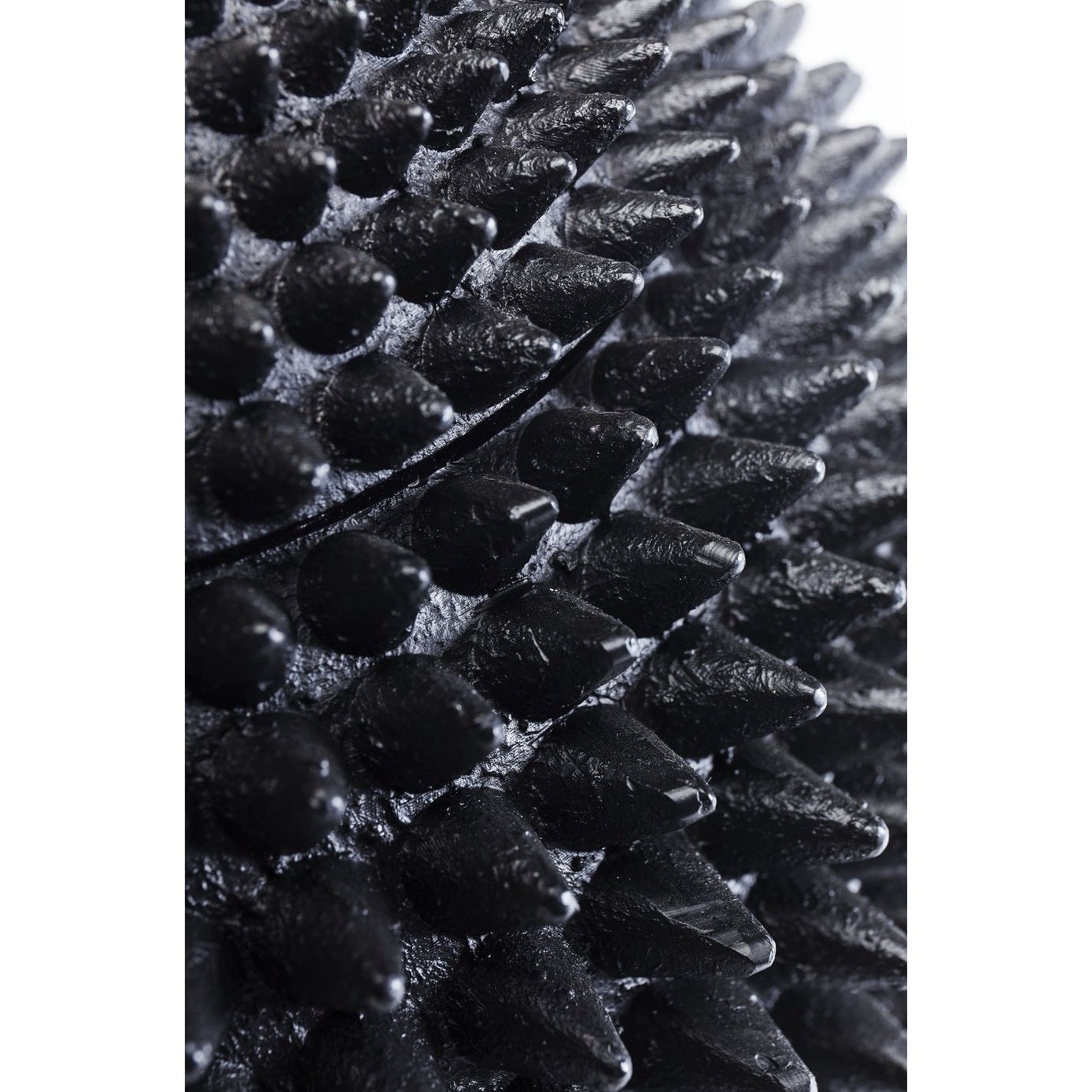 Opberger parrot Kare Design