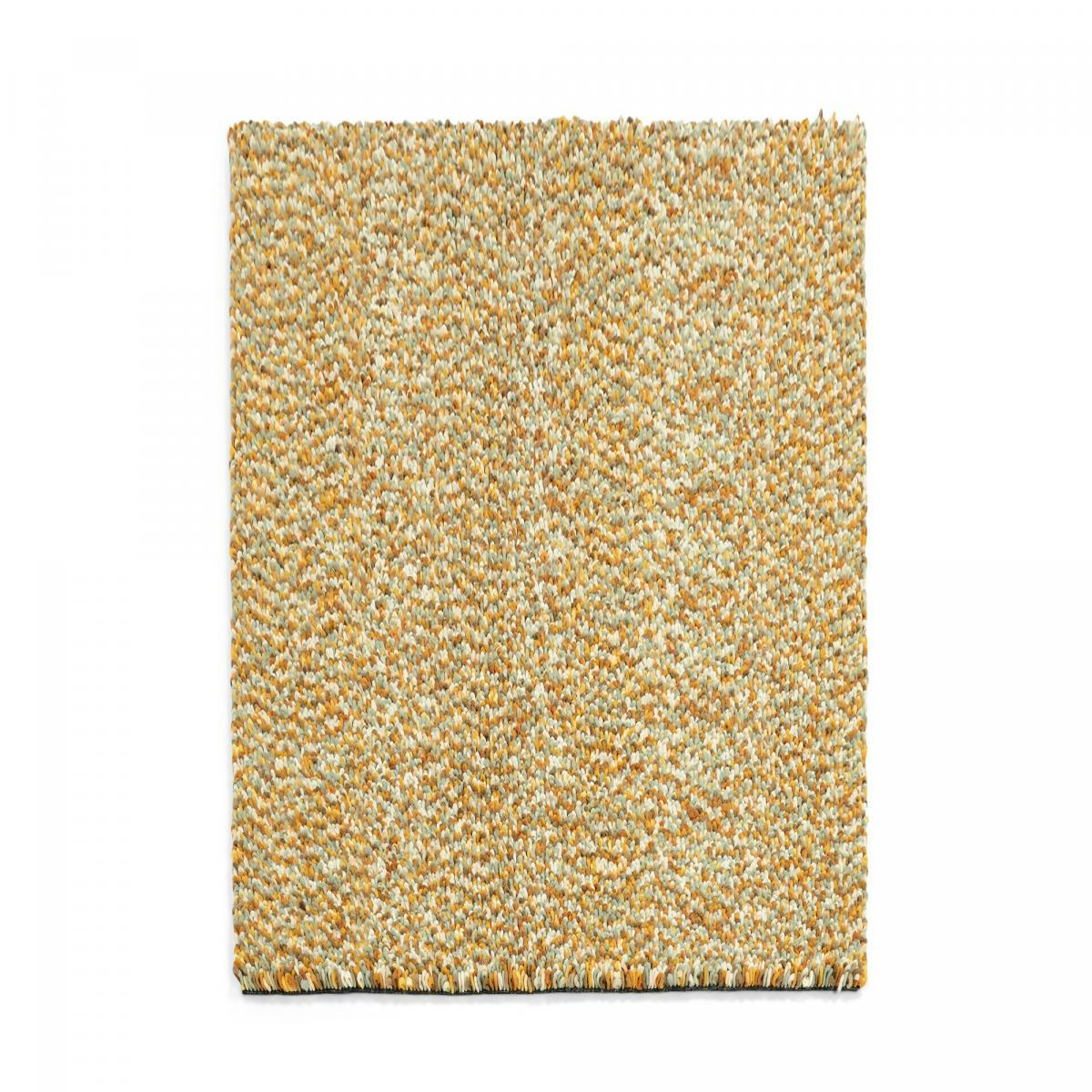 SG BOUCLETTE BCA 1A2T - Tapis shaggy or 200x300