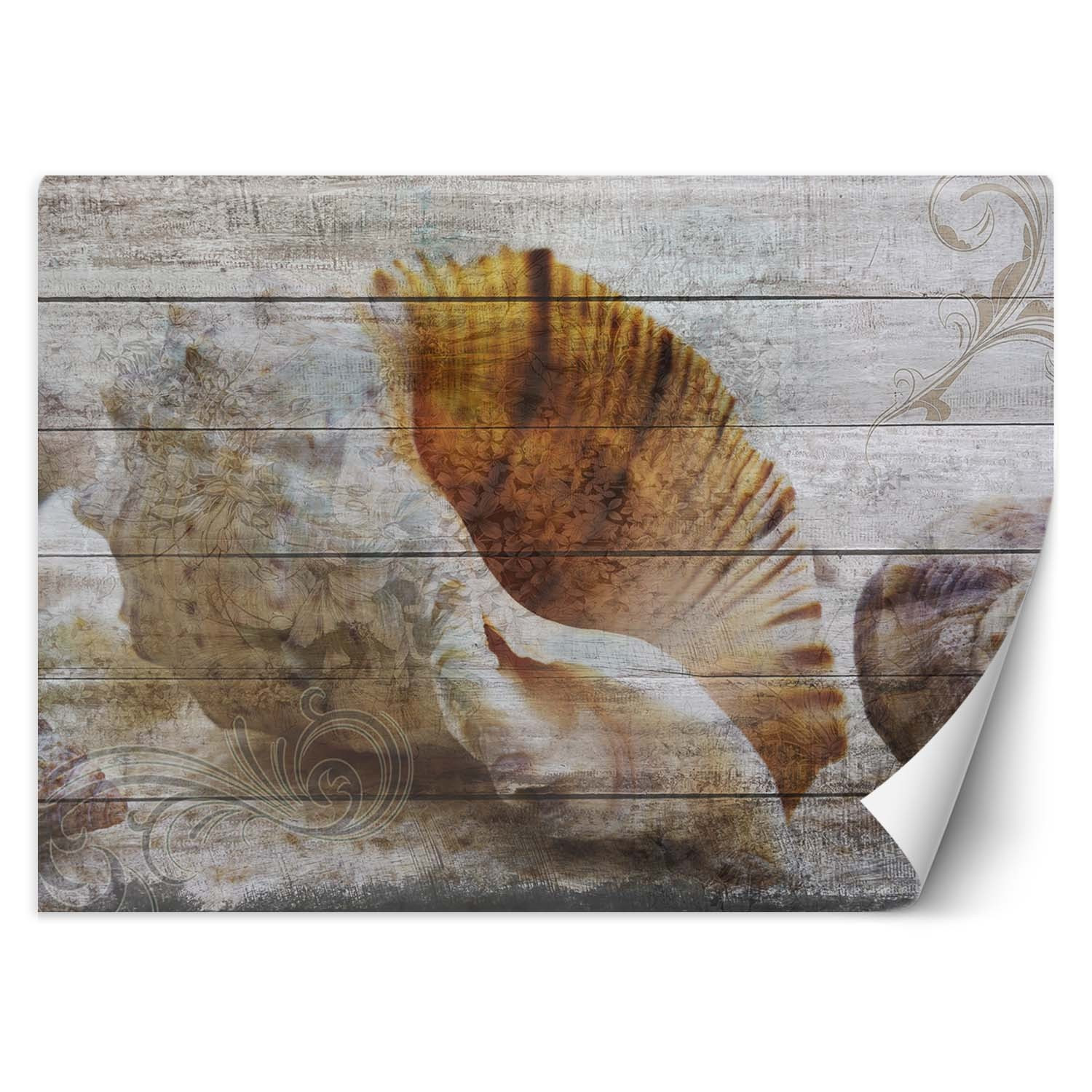 Feeby Fototapeta, Muszle w stylu vintage 150x105