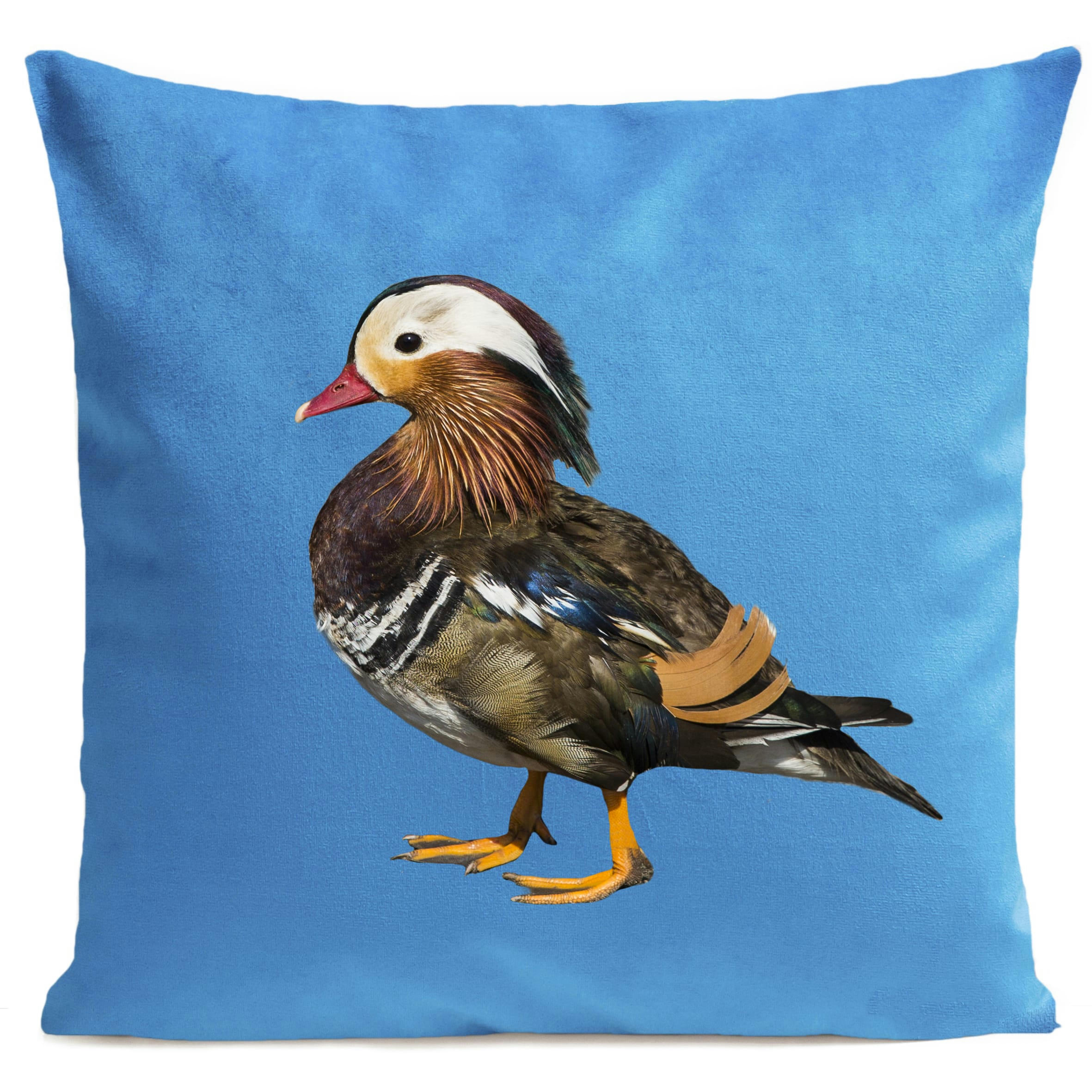 - Coussin campagne canard suédine bleu 40x40cm