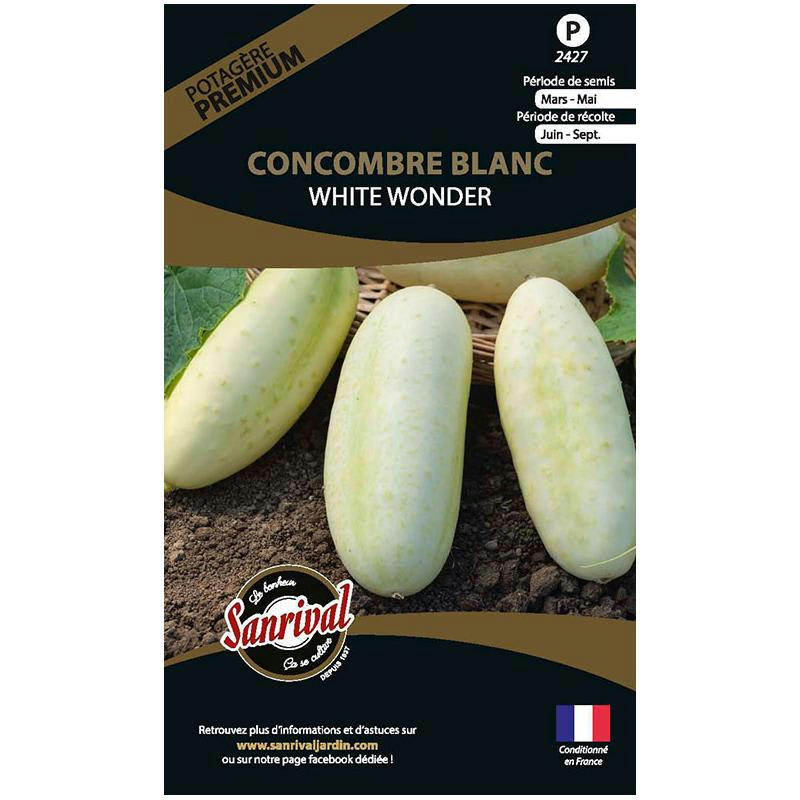 - Graines potagères premium concombre blanc white wonder