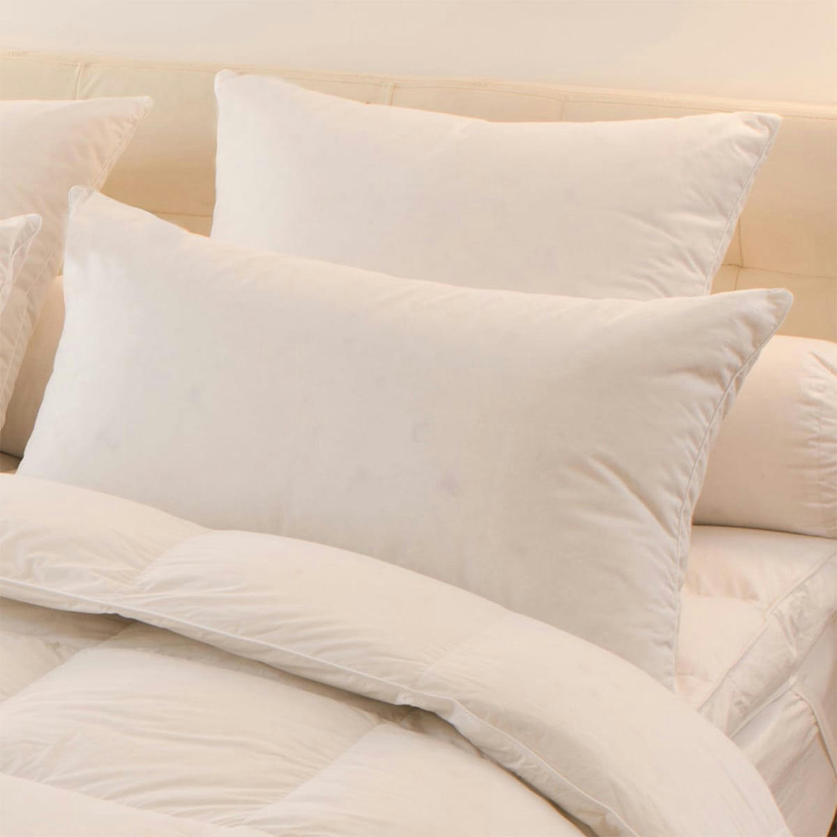 - Oreiller Mélior - 5% duvet canard et oie - Ferme 65x65 cm - Drouault