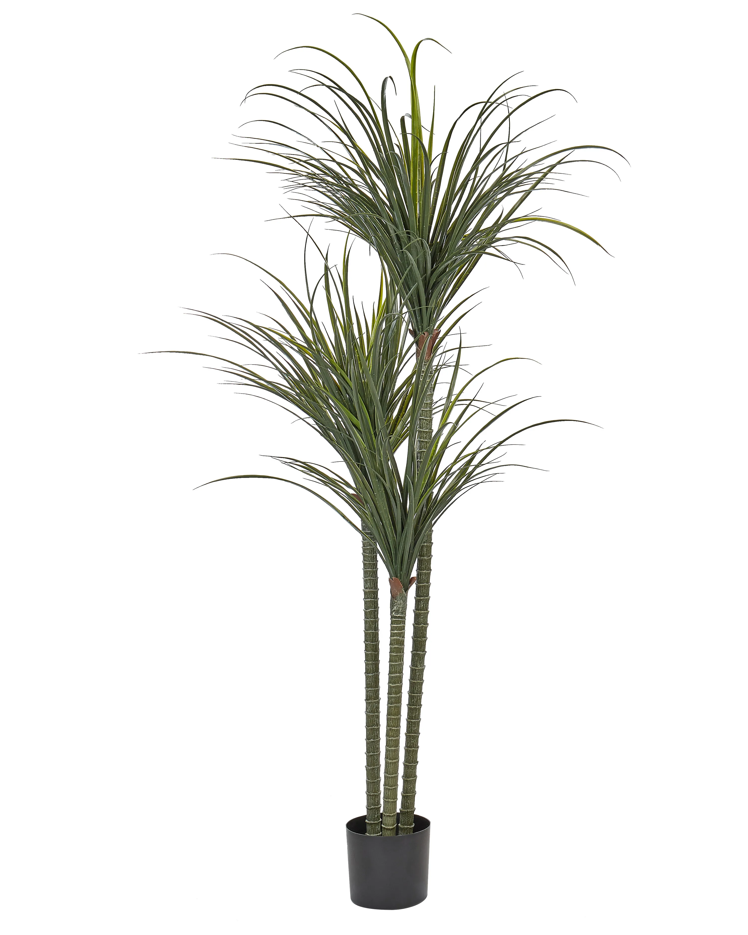 Artificial Plant DRACAENA ANITA 147 cm Green