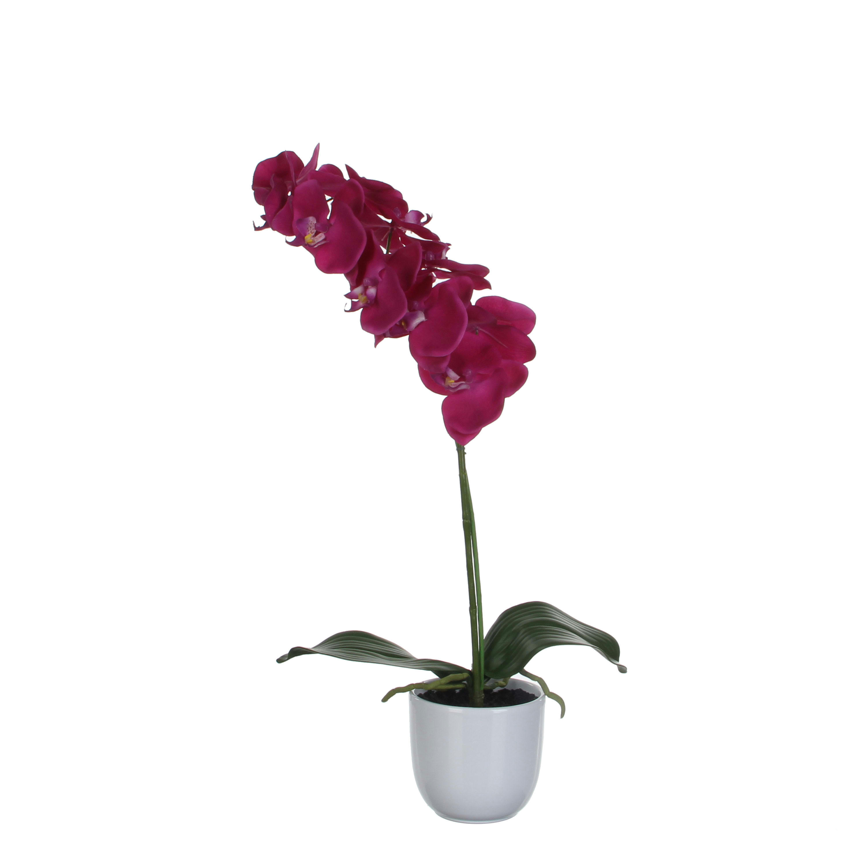 - Orchidée artificielle violette en pot H60