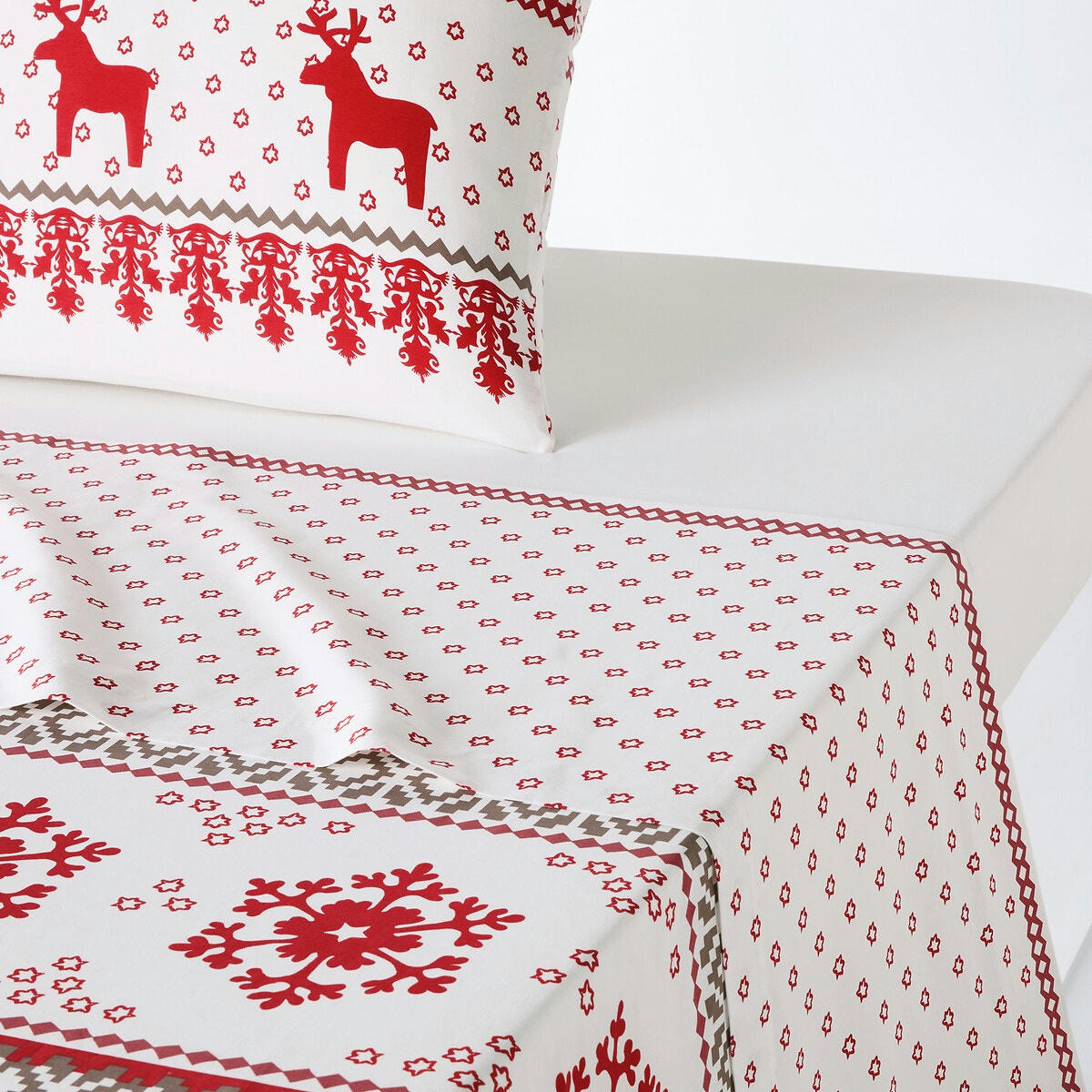 Drap coton, Ovelis