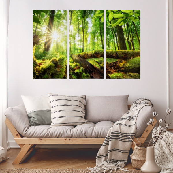 Obraz 3-Częściowy Widok Na Słoneczny Las 3D 60x40cm