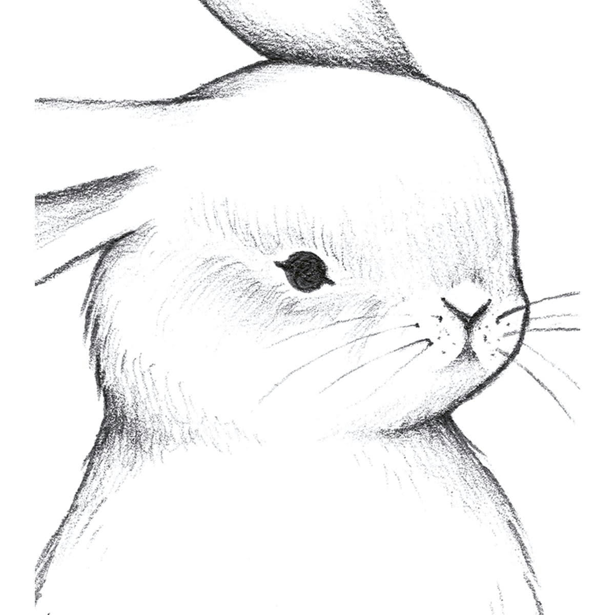 BUNNY - Affiche lapin en Papier Blanc