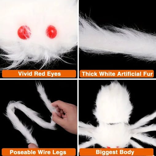 NNETM Creepy Crawly: The Halloween Spider Showstopper